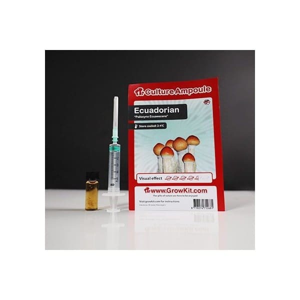 ecuadorian-culture-ampoule-set-2.jpg Ecuadorian Culture Ampoule Set - Image 1