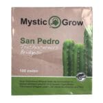 San Pedro T bridgesii Zaden - 100 stuks