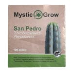 San Pedro T. Peruvianus Seeds - 100 pieces