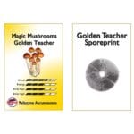 Golden Teacher Sporenprint