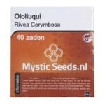 Ololiuqui - 40 seeds