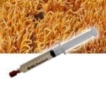 Cordyceps (Cordyceps militaris) Liquid Culture Spuit