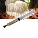 Lion's mane (Hericium erinaceus)  Liquid Culture Spuit