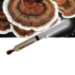 Turkey tail (Trametes versicolor) Liquid Culture Spuit